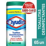 Toallitas-Ayudin-Desinfect-Fresco-65un-1-39231