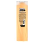 Shampoo-Sedal-Jengibre-Ricino-340ml-3-39517