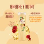 Shampoo-Sedal-Jengibre-Ricino-340ml-4-39517