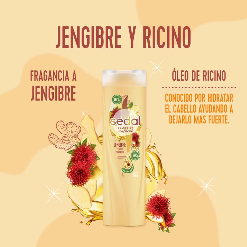 Shampoo-Sedal-Jengibre-Ricino-340ml-4-39517