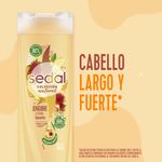 Shampoo-Sedal-Jengibre-Ricino-340ml-5-39517