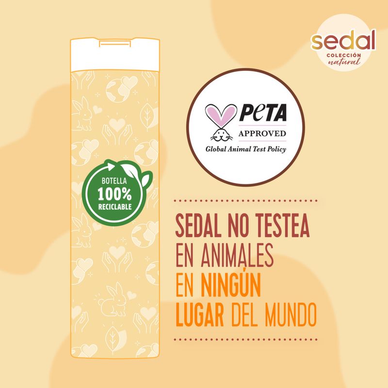 Shampoo-Sedal-Jengibre-Ricino-340ml-6-39517