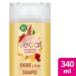 Shampoo-Sedal-Jengibre-Ricino-340ml-1-39517
