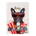 Carpeta-Escolar-Apets-Cinema-25x37-1-35495