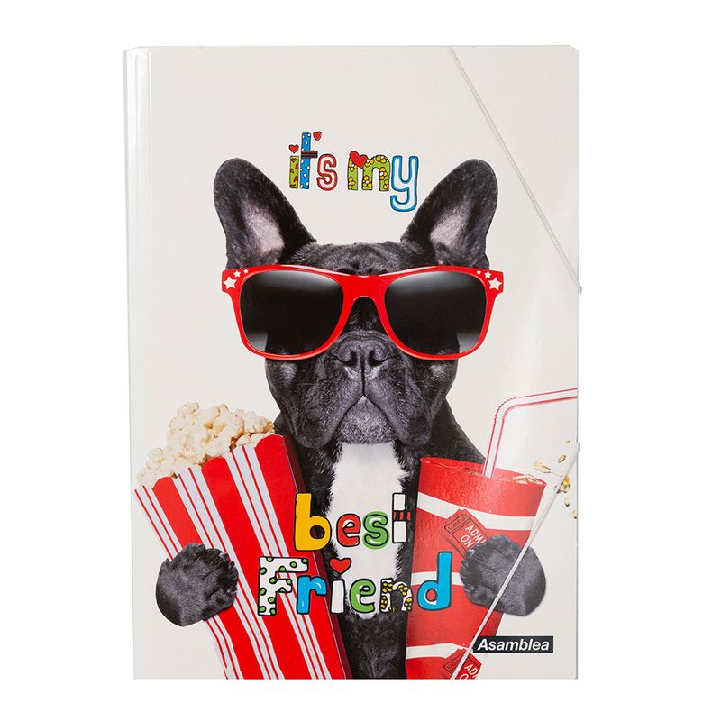 Carpeta-Escolar-Apets-Cinema-25x37-1-35495