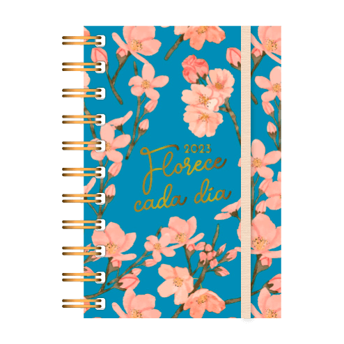 Agenda-Onix-Natural-Flow-Espiral-Hxd-10x15-2-38265