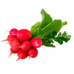 Rabanito-En-Paquete-400g-1-25007