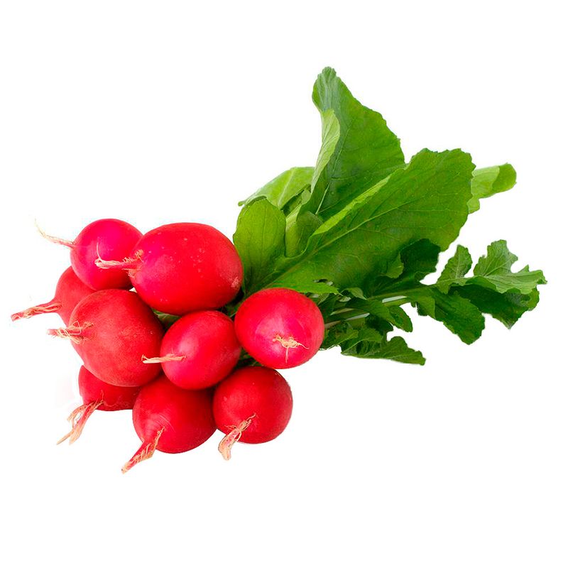 Rabanito-En-Paquete-400g-1-25007