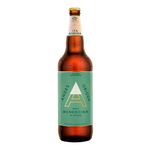 Cerveza-Rubia-Origen-Ipa-Retornable-Andes-1-L-2-318