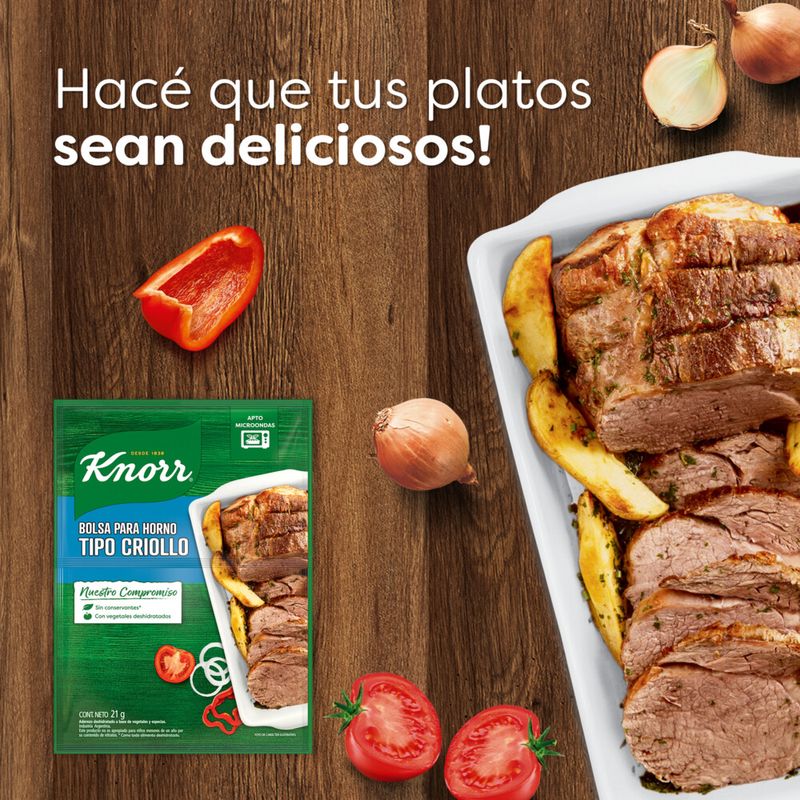 Condimento-Sabor-Al-Horno-Knorr-Tipo-Criollo-21g-4-28822