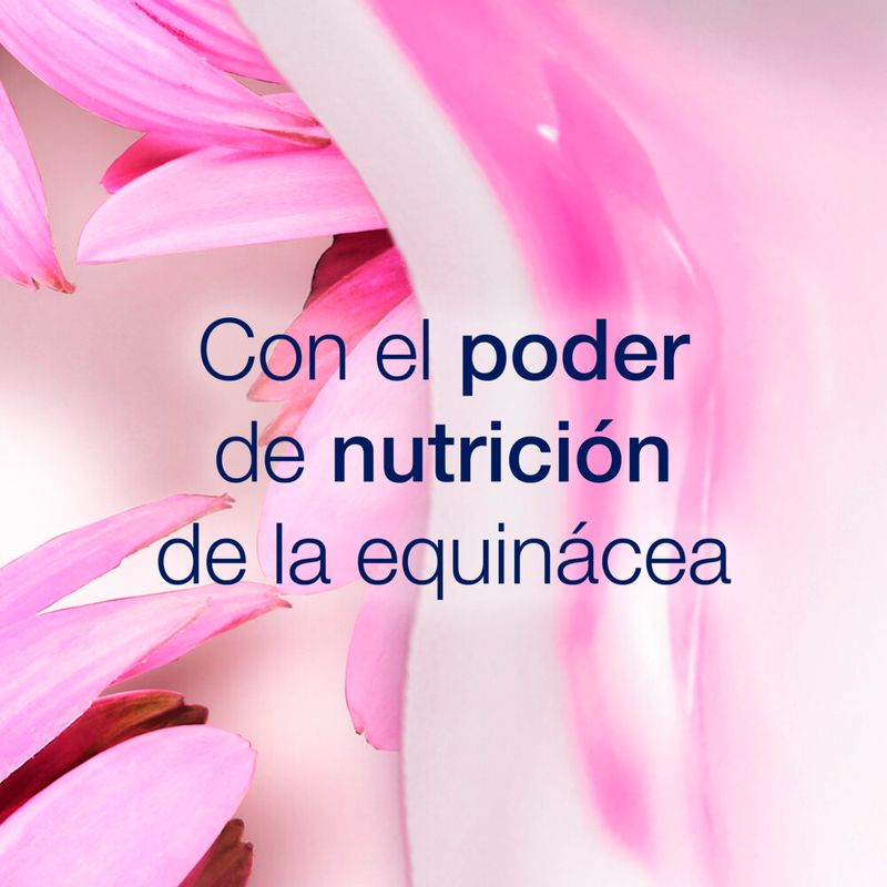 Shampoo-Dove-Ritual-De-Crecimiento-Equinacea-400-Ml-6-41397