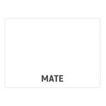 Barniz-Marino-Pacl-n-1-Litro-Mate-2-41537
