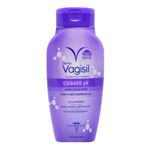 Jab-n-Intimo-Dermo-Vagisil-Wash-L-quido-Cuidado-Ph-355ml-1-41650