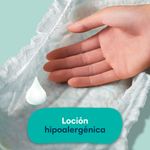 Pa-ales-Pampers-Baby-Dry-Xg-58un-6-42266