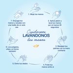 Jabon-Liquido-Dove-Para-Manos-Antibacterial-250ml-6-43556