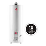 Termotanque-Rheem-Gas-Natural-Pie-120lt-Tpg120gnrh-1-43729