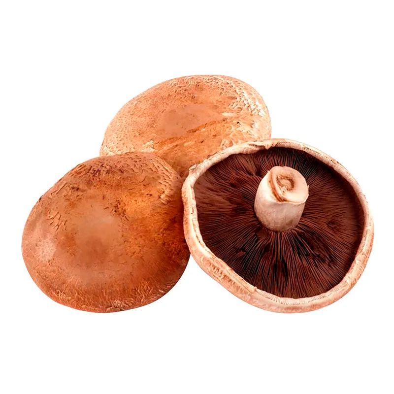 Champignon-Portobello-100g-1-45028