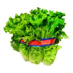Lechuga-Francesa-500g-1-45040