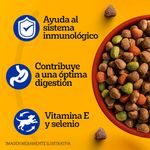 Alimento-Seco-Para-Perro-Pedigree-Adulto-Carne-Y-Vegetales-3kg-2-22392