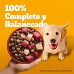 Alimento-Seco-Para-Perro-Pedigree-Cachorro-8kg-4-6574