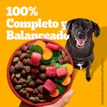 Alimento-Seco-Para-Perro-Pedigree-Adulto-Mayor-7-A-os-8kg-4-12531
