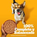 Alimento-Adulto-Raza-Peq-Pollo-Pedigree-Pouch-100-Gr-4-12515