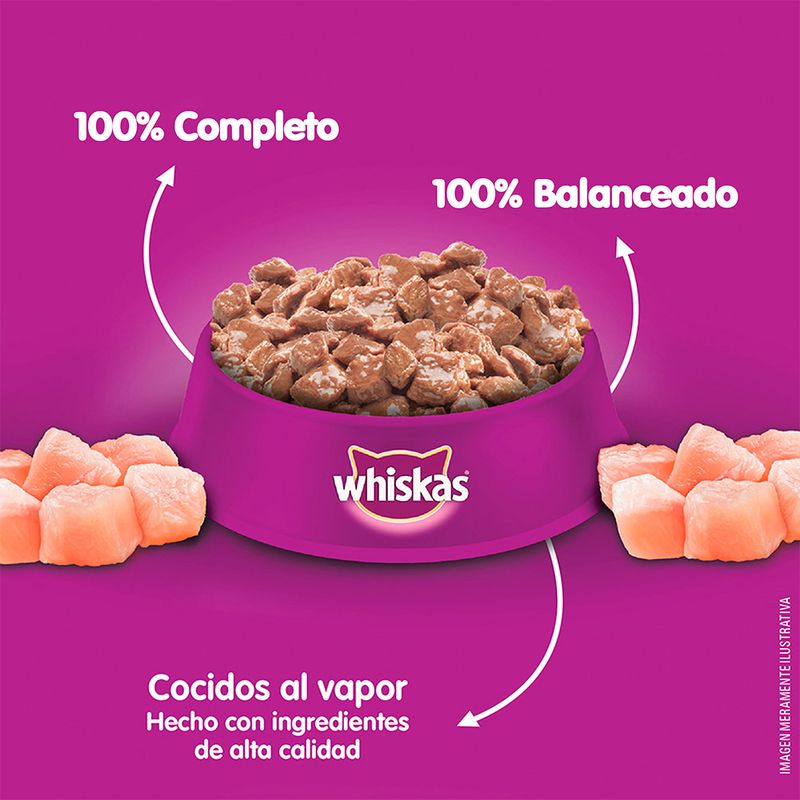 Alimento-Gato-Pavo-Pocuh-Whiskas-85-Gr-3-29460