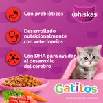 Whiskas-Alimento-Seco-Para-Gatitos-500-Gr-3-22397