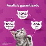 Alimento-Whiskas-Gatitos-Carne-Y-Leche-1kg-4-6569