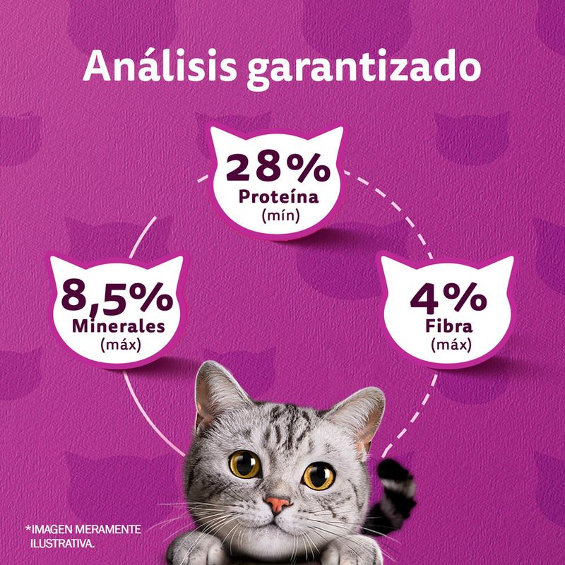 Alimento-Gato-Whiskas-Pescado-500gr-4-22398