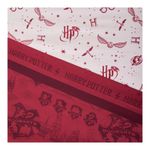 Juego-De-Sabanas-Ultra-Soft-Harry-Potter-1-Plaza-3-45407