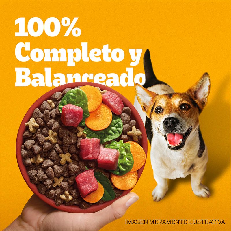 Alimento-Seco-Para-Perro-Pedigree-Adulto-Razas-Peque-as-3kg-4-12520