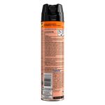 Insecticida-Raid-Casa-Y-Jard-n-Mata-Moscas-Y-Mosquitos-En-Aerosol-360cc-3-37568