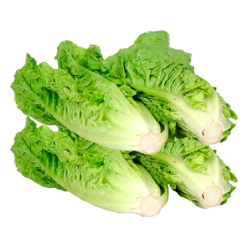 Lechuga-Criolla-500g-1-45956