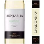 Vino-Blanco-Nieto-Senetiner-Benjamin-Chardonnay-750ml-1-46637
