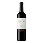Vino-Tinto-Nieto-Senetiner-Benjamin-Cabernet-Sauvignon-750ml-1-46638