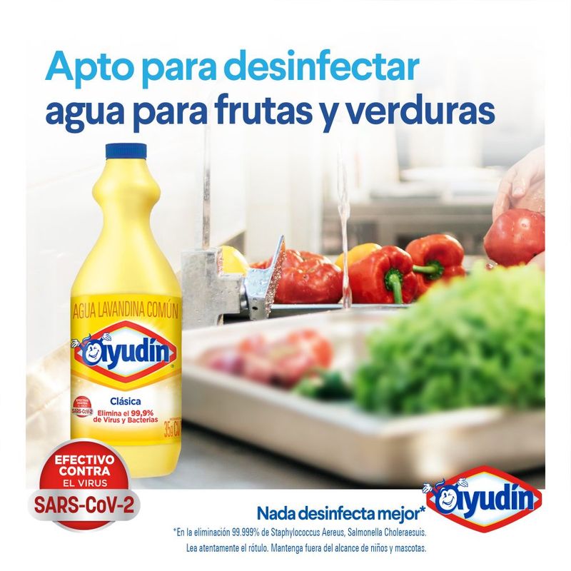 Lavandina-Ayud-n-Triple-Poder-Lavanda-2-L-3-1139