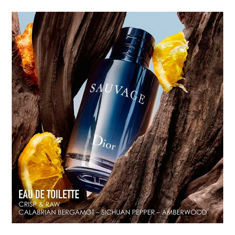 Perfume-Dior-Sauvage-Eau-De-Toilette-100ml-3-47799