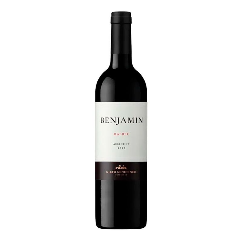 Vino-Tinto-Benjamin-Malbec-750ml-1-45835