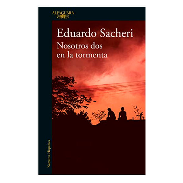 Libro-Nosotros-Dos-En-La-Tormenta-Editorial-Alfaguara-1-48406