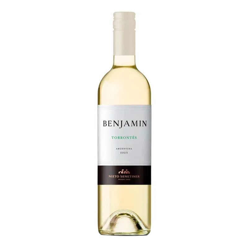 Vino-Blanco-Benjamin-Nieto-Torrontes-750-Ml-1-48886