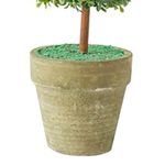Planta-Maceta-Conica-20-Cm-Verde-2-48945