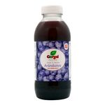 Jugo-Gergal-De-Ar-ndanos-500-Ml-1-49800