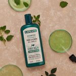 Shampoo-Capilatis-Tratante-Ortiga-Concentrado-420ml-2-51687