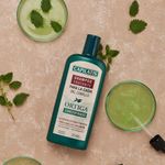 Shampoo-Capilatis-Ortiga-Anticaspa-420ml-2-51689