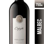 Vino-Tinto-Cafayate-Gran-Linaje-Malbec-750-Ml-1-51994