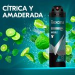 Antitranspirante-Invisible-Rexona-150ml-6-52233