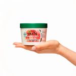 M-scara-De-Revitalizaci-n-Hair-Food-Fructis-350ml-4-52920