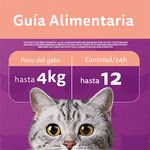 Alimento-Para-Gatos-Whiskas-Sabor-Salm-n-40-G-4-53619