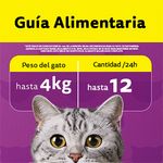 Alimento-Para-Gatos-Whiskas-Sabor-Pollo-80-G-4-53620